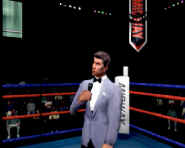 Ready2Rumble commentator.jpg (52130 bytes)